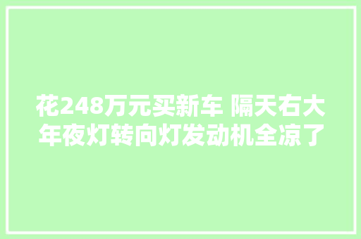 花248万元买新车 隔天右大年夜灯转向灯发动机全凉了