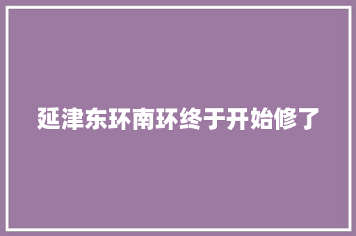 延津东环南环终于开始修了
