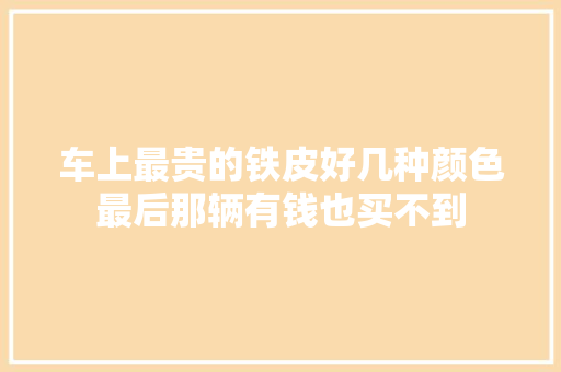 车上最贵的铁皮好几种颜色最后那辆有钱也买不到