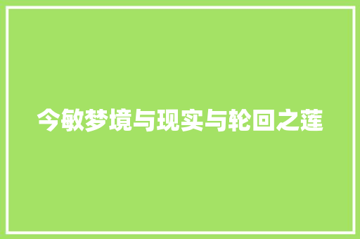 今敏梦境与现实与轮回之莲