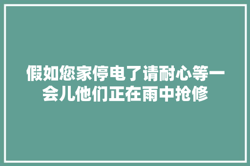 假如您家停电了请耐心等一会儿他们正在雨中抢修