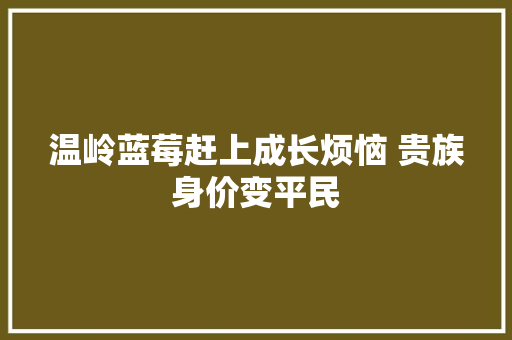 温岭蓝莓赶上成长烦恼 贵族身价变平民