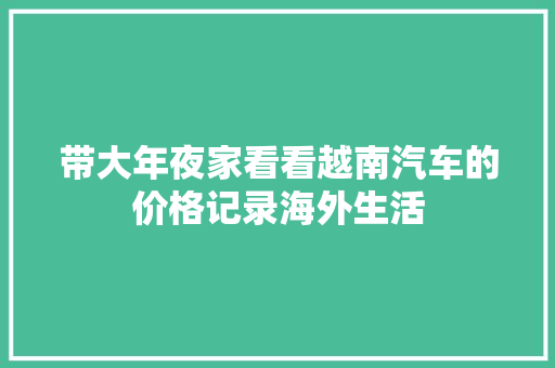 带大年夜家看看越南汽车的价格记录海外生活