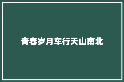 青春岁月车行天山南北