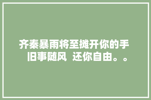 齐秦暴雨将至摊开你的手  旧事随风  还你自由。。