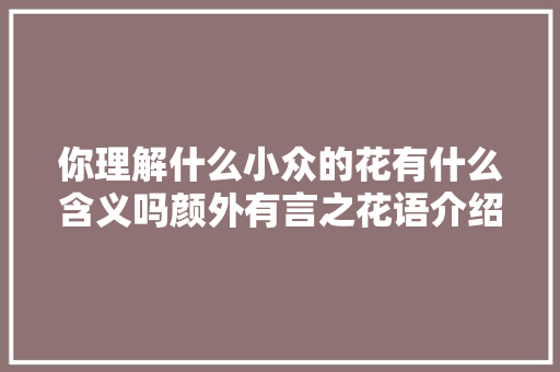你理解什么小众的花有什么含义吗颜外有言之花语介绍