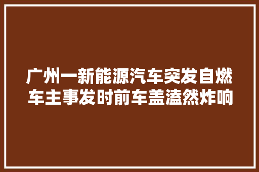 广州一新能源汽车突发自燃车主事发时前车盖溘然炸响