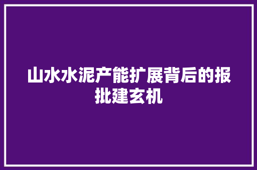 山水水泥产能扩展背后的报批建玄机