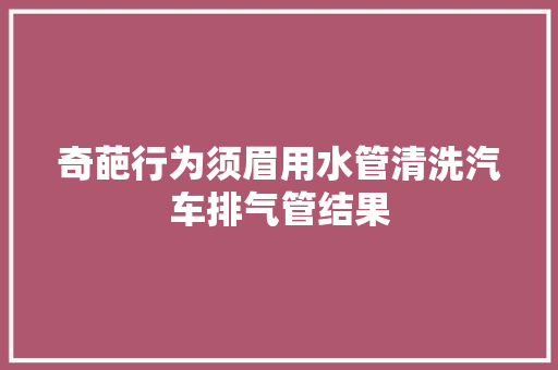 奇葩行为须眉用水管清洗汽车排气管结果