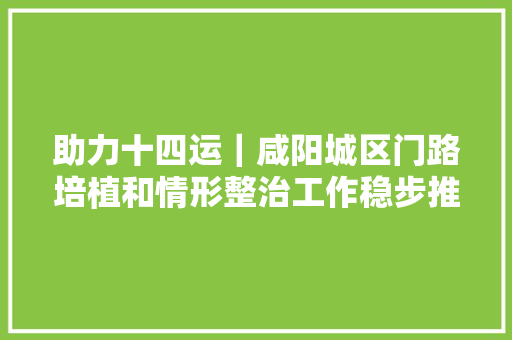 助力十四运｜咸阳城区门路培植和情形整治工作稳步推进