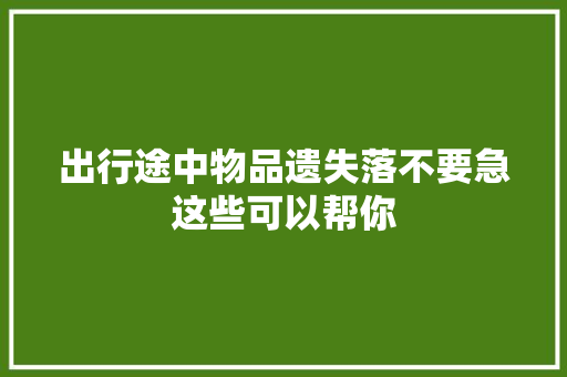 出行途中物品遗失落不要急这些可以帮你