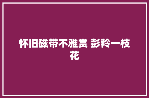 怀旧磁带不雅赏 彭羚一枝花