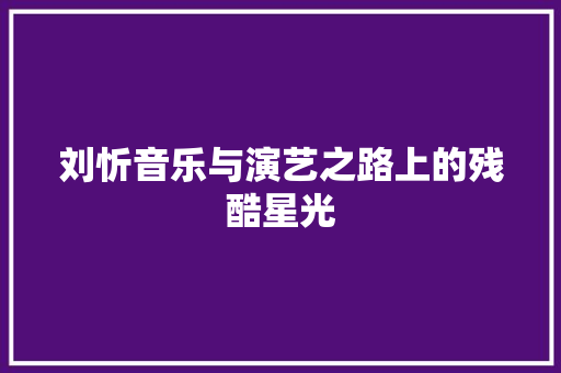 刘忻音乐与演艺之路上的残酷星光