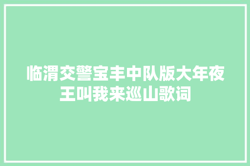 临渭交警宝丰中队版大年夜王叫我来巡山歌词