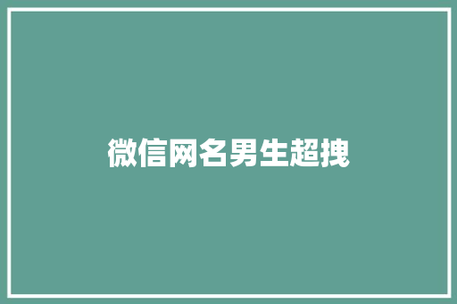 微信网名男生超拽