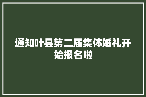 通知叶县第二届集体婚礼开始报名啦