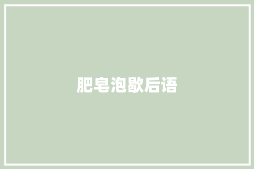 肥皂泡歇后语