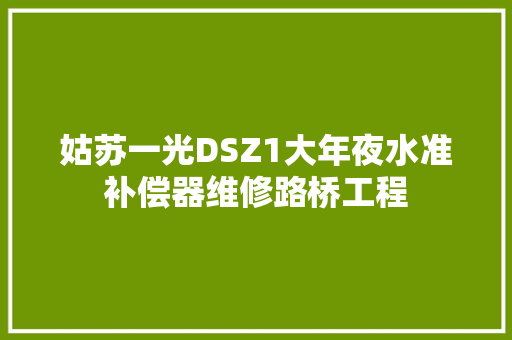姑苏一光DSZ1大年夜水准补偿器维修路桥工程