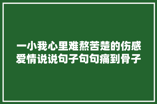 一小我心里难熬苦楚的伤感爱情说说句子句句痛到骨子里