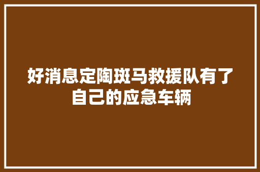 好消息定陶斑马救援队有了自己的应急车辆