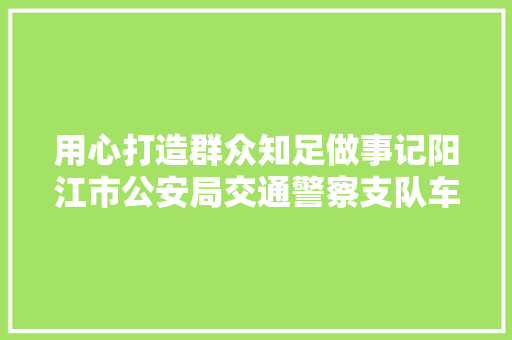 用心打造群众知足做事记阳江市公安局交通警察支队车辆治理所
