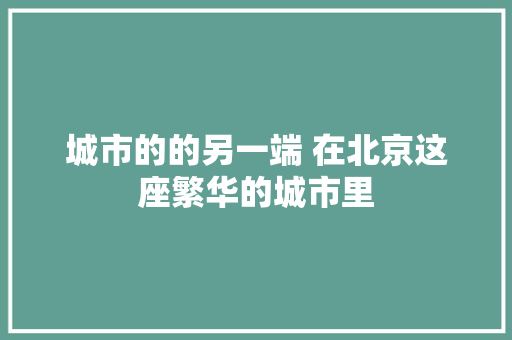 城市的的另一端 在北京这座繁华的城市里