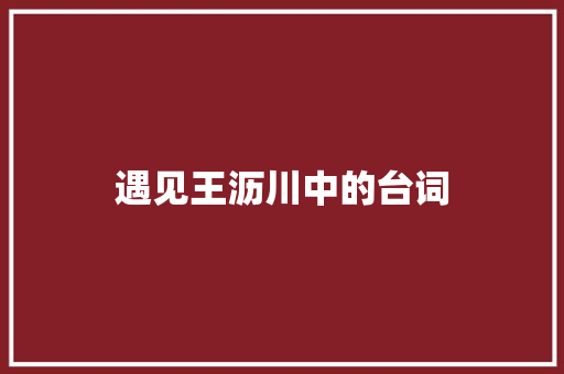 遇见王沥川中的台词