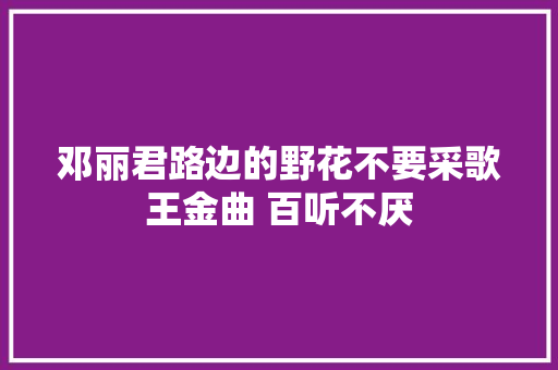 邓丽君路边的野花不要采歌王金曲 百听不厌