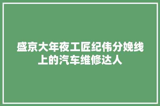 盛京大年夜工匠纪伟分娩线上的汽车维修达人
