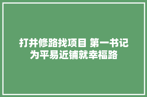 打井修路找项目 第一书记为平易近铺就幸福路