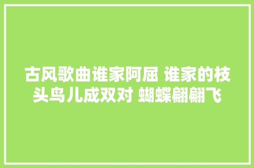 古风歌曲谁家阿屈 谁家的枝头鸟儿成双对 蝴蝶翩翩飞