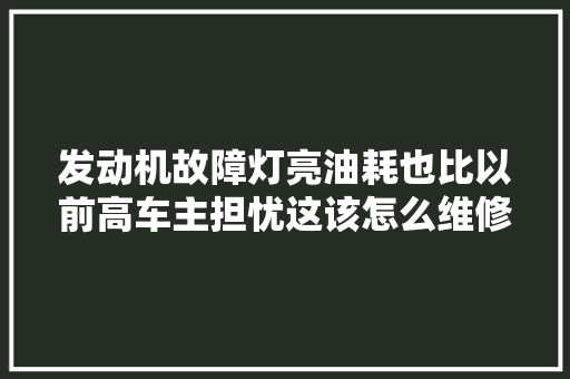 发动机故障灯亮油耗也比以前高车主担忧这该怎么维修
