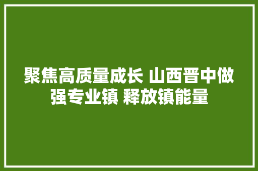 聚焦高质量成长 山西晋中做强专业镇 释放镇能量