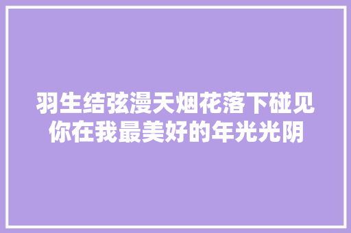 羽生结弦漫天烟花落下碰见你在我最美好的年光光阴