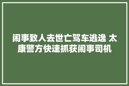 闹事致人去世亡驾车逃逸 太康警方快速抓获闹事司机