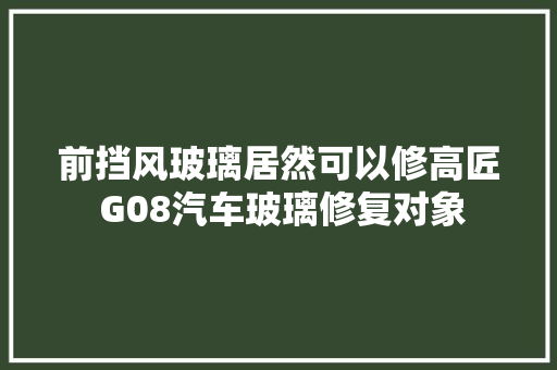 前挡风玻璃居然可以修高匠 G08汽车玻璃修复对象