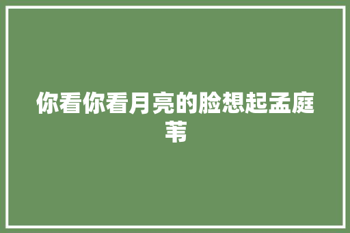 你看你看月亮的脸想起孟庭苇