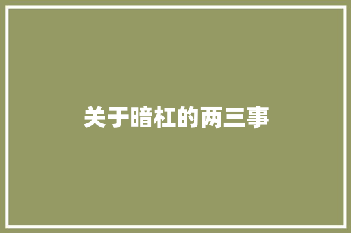 关于暗杠的两三事