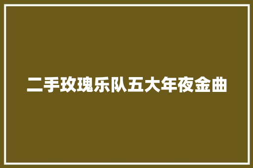 二手玫瑰乐队五大年夜金曲
