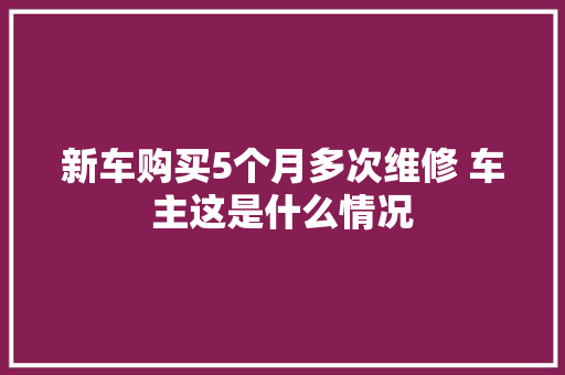 新车购买5个月多次维修 车主这是什么情况