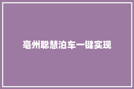 亳州聪慧泊车一键实现