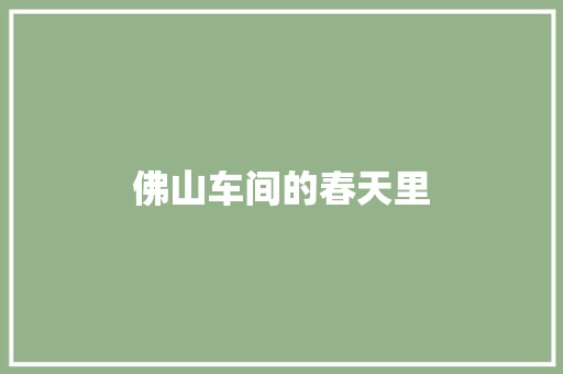 佛山车间的春天里