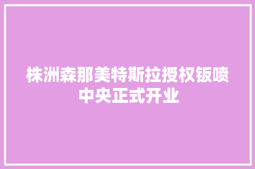 株洲森那美特斯拉授权钣喷中央正式开业
