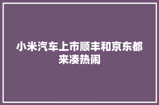 小米汽车上市顺丰和京东都来凑热闹