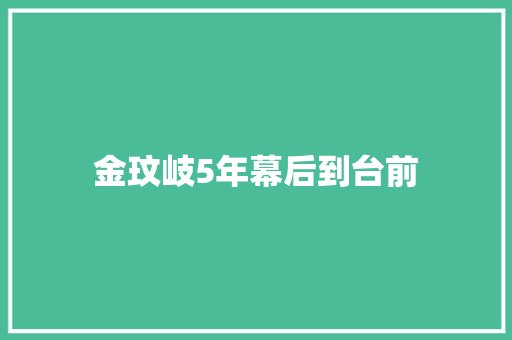 金玟岐5年幕后到台前
