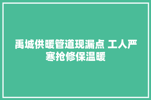 禹城供暖管道现漏点 工人严寒抢修保温暖