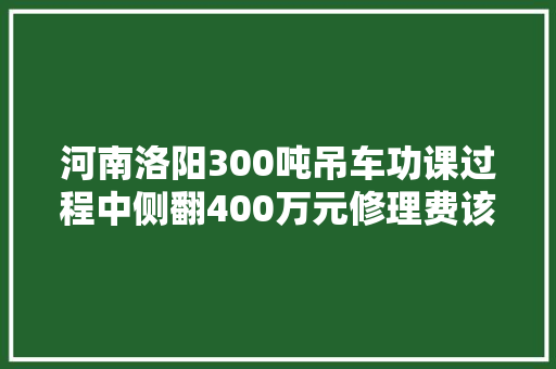 河南洛阳300吨吊车功课过程中侧翻400万元修理费该谁赔查询访问结果出了