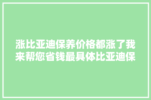涨比亚迪保养价格都涨了我来帮您省钱最具体比亚迪保养攻略