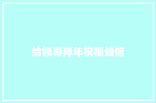给领导拜年祝福短信