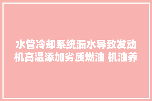 水管冷却系统漏水导致发动机高温添加劣质燃油 机油养护不到位